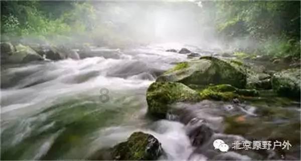狂野飙客4