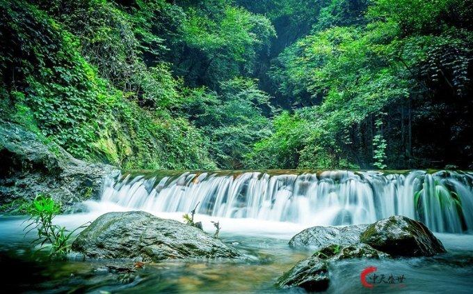 人民建议直通车丨文艺青年们的心愿竟是这样